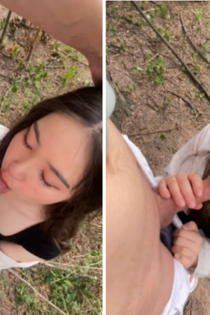 Vùng vẫy trong rừng, vừa thỏ thẻ vừa đam mê