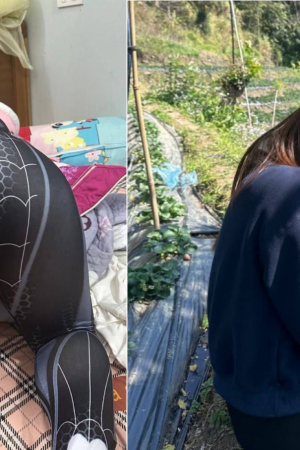 Spider-Man bị chịch thẳng vào tường