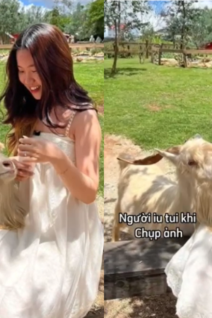 Video sex em tiểu thư giàu chịch nhau