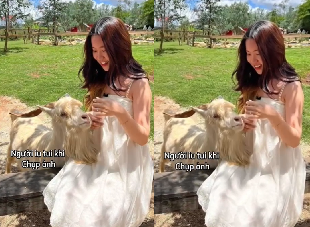 Video sex em tiểu thư giàu chịch nhau