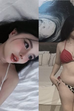 Video heo em chubby body mập không uổng